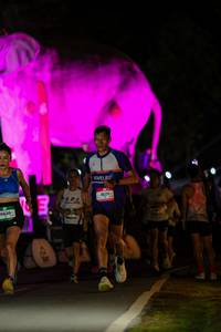 BIB: 
                            <button type="button" onclick="openModal(26530670)" class="btn btn-primary btn-sm float-right btn-popup" data-toggle="modal" data-target=".modal-high-quality">
                        <i class="fas fa-shopping-cart"></i> Add to Cart
                    </button>
                                            <button type="button" onclick="isThisMe(26530670, true)" class="btn btn-success btn-sm float-right btn-popup btn-isme hidden" data-toggle="tooltip" data-placement="bottom" title="นี่คือรูปของคุณใช่ไหม คลิกที่นี่เพื่อเอาเข้าอัลบั้ม">
                        <i class="fas fa-plus"></i> Add to album
                    </button>
                    <button type="button" onclick="isThisMe(26530670, false)" class="btn btn-warning btn-sm float-right btn-popup btn-isnotme hidden">
                        <i class="fas fa-ban"></i> Remove from album
                    </button>